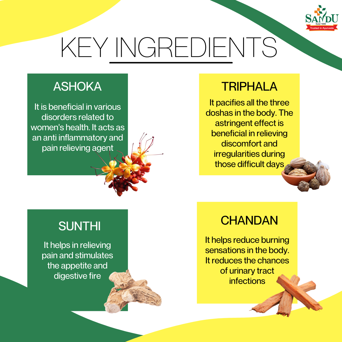 Sandu Ashokarishta - Ayurvedic Medicine for Women Health - Image 3