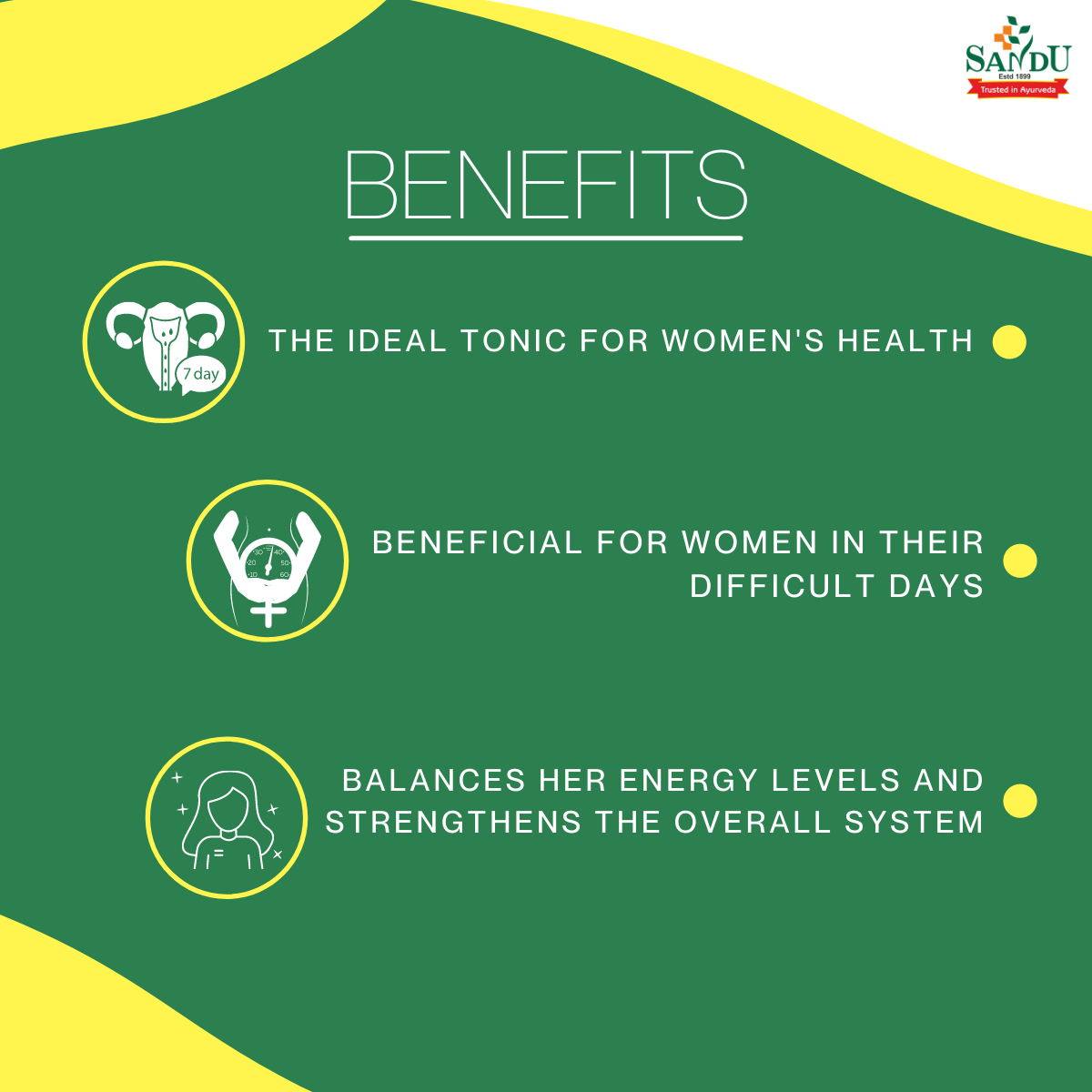 Sandu Ashokarishta - Ayurvedic Medicine for Women Health - Image 2