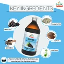 Sandu Drakshasava Syrup – Complete Overview Sandu Drakshasava Syrup 450 ml
