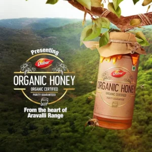 Dabur Organic Honey - 500g