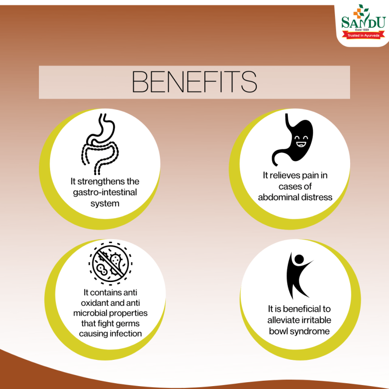 Sandu Kutajarishta Ayurvedic Remedy to Cure Diarrhoea - Image 5