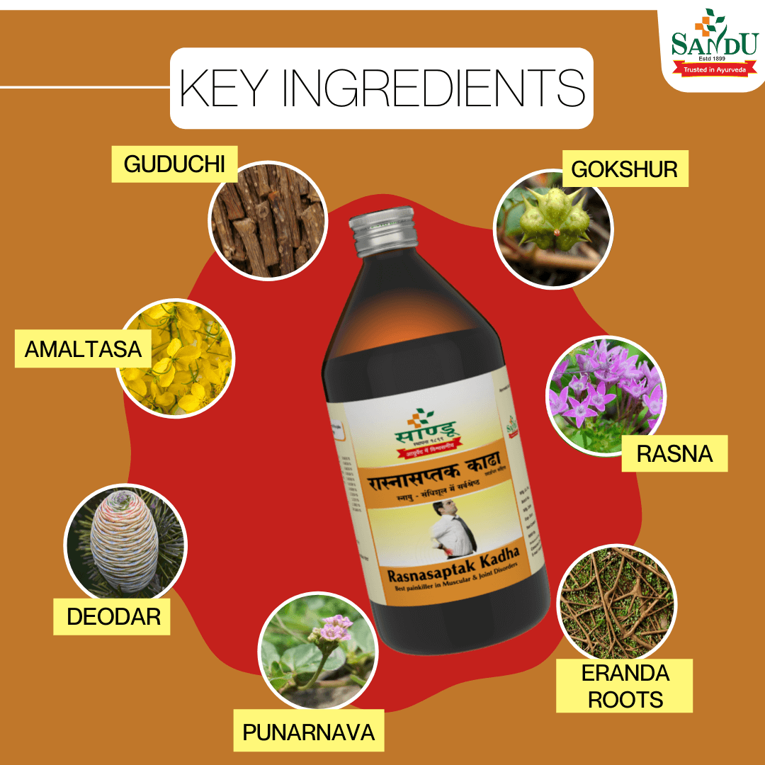 Sandu Rasnasaptak Kadha (450 ml) Ayurvedic Pain Reliever for Back Pain online - Image 5