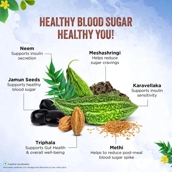 Dabur Dia Control Juice - Manage Blood Sugar Naturally - 1L - Image 6