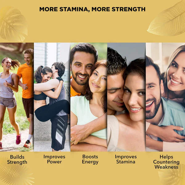 Power Plus Trio Pack - Combo - Image 17